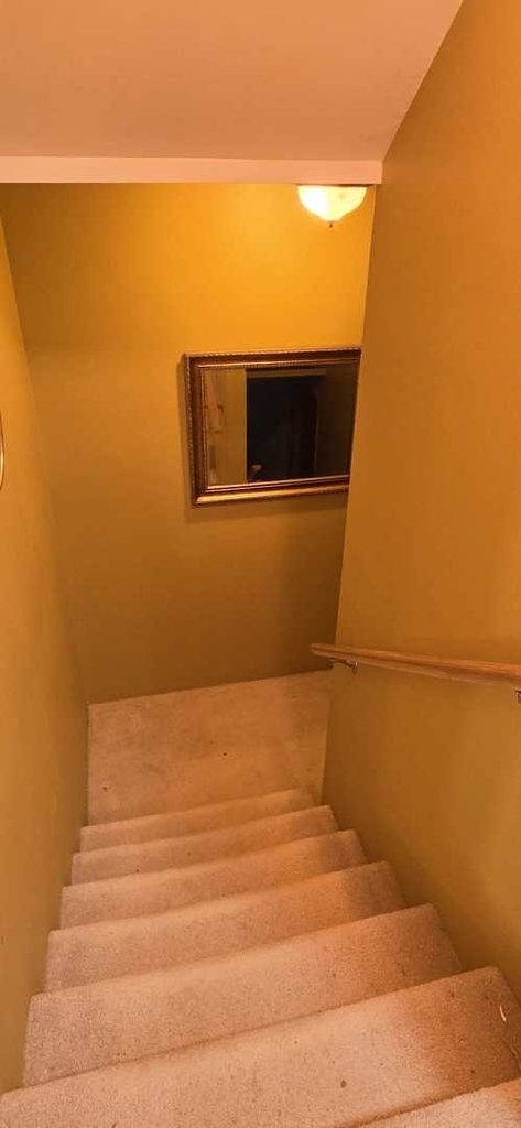 2416 Boxwood Lane - Photo 29