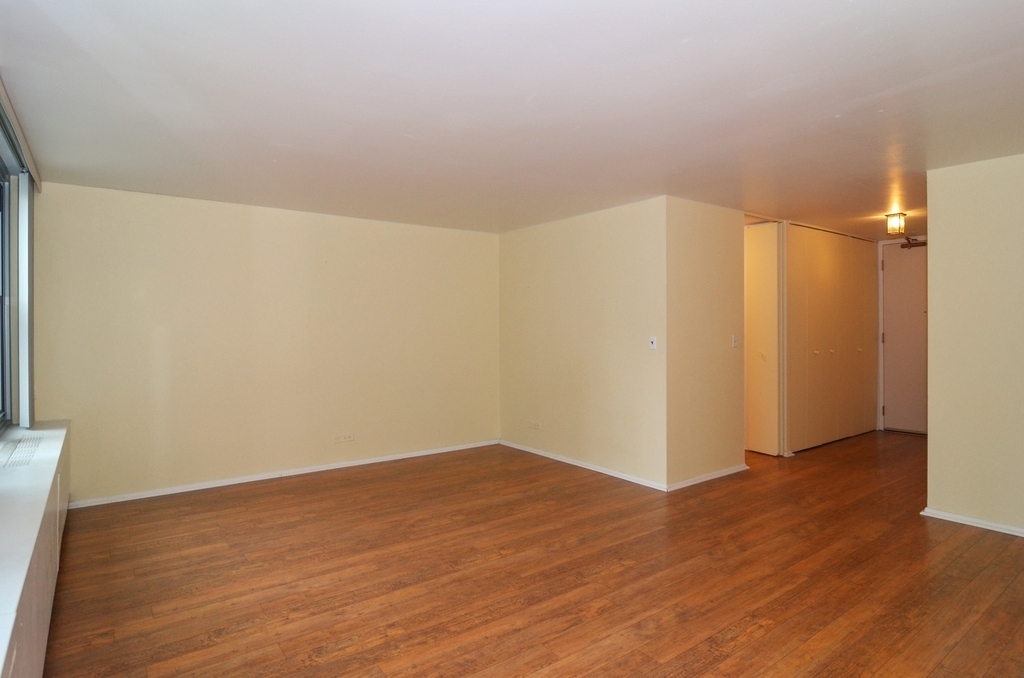 400 E Randolph Street - Photo 3