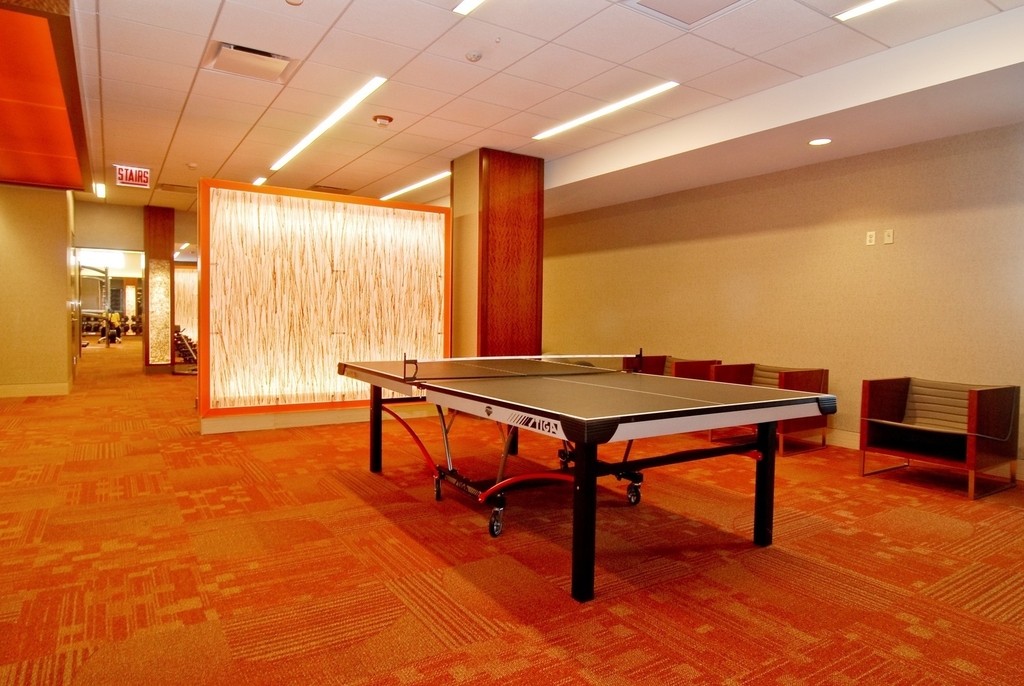 400 E Randolph Street - Photo 14