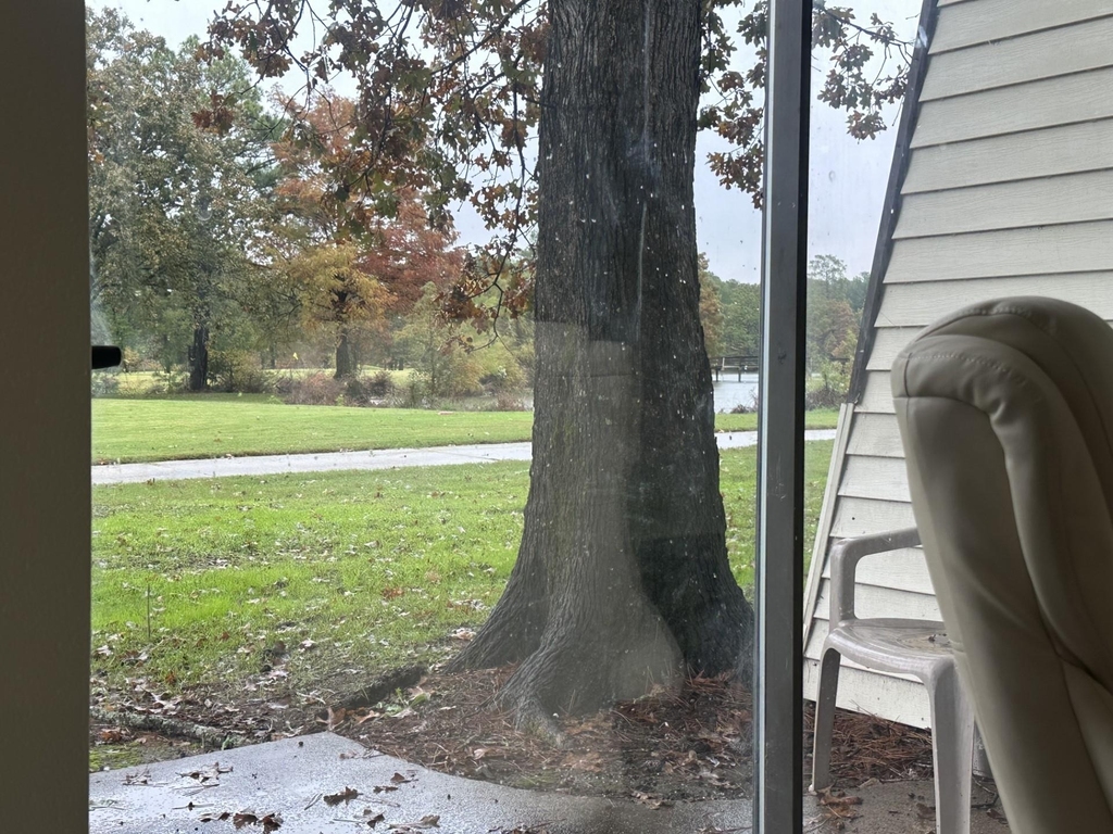 24488 Country Club Drive - Photo 9