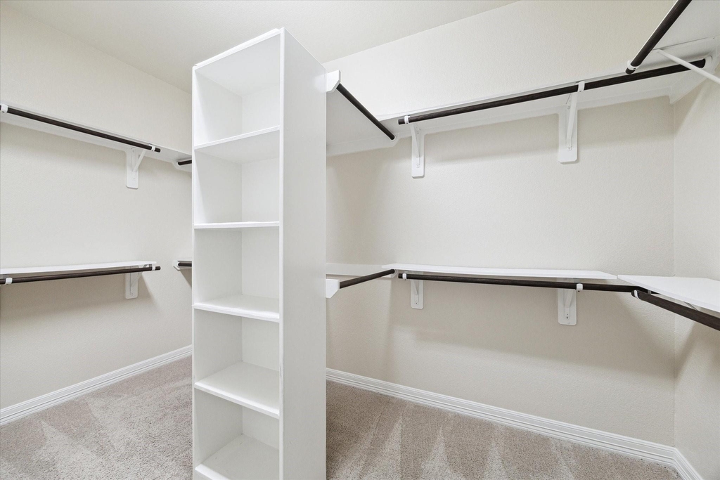 13217 Exmoor Terrace Drive - Photo 10