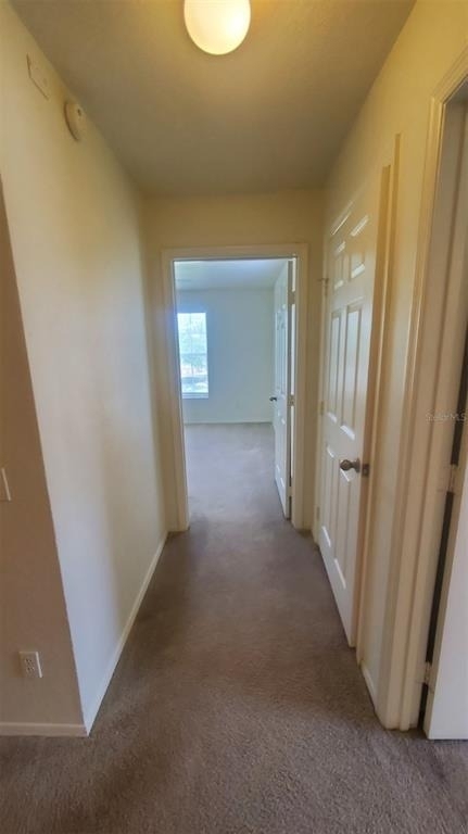 36243 Lake Chase Boulevard - Photo 15