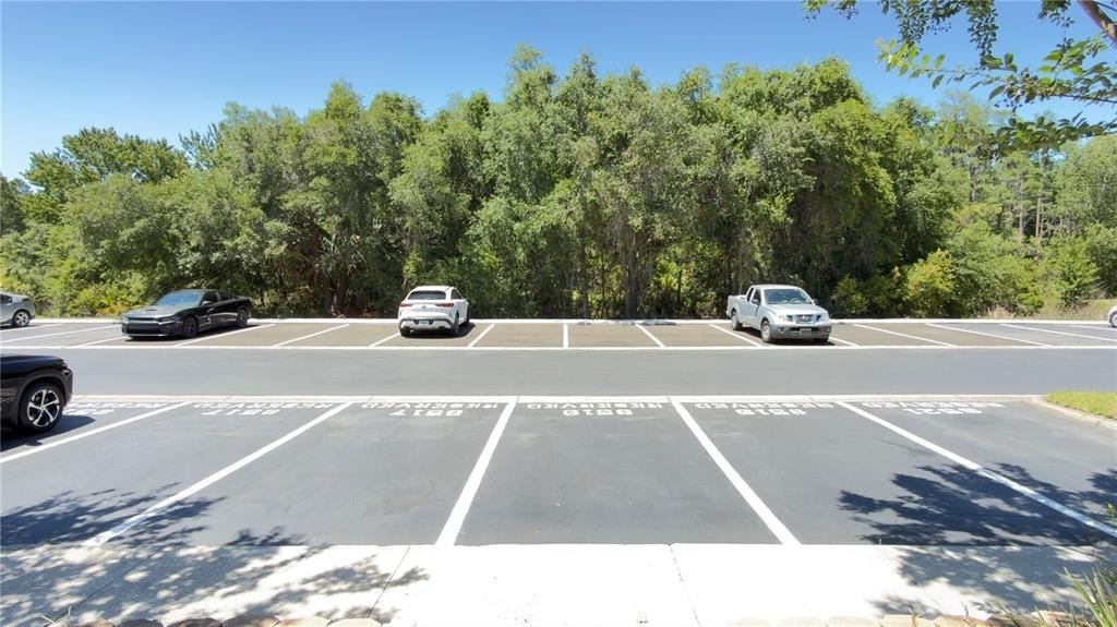 8519 Trail Wind Drive - Photo 4