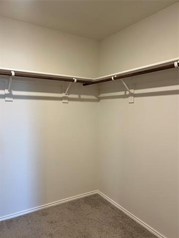 5405 Lavender Drive - Photo 10
