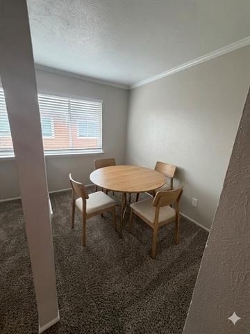 11457 Dennis Road - Photo 4