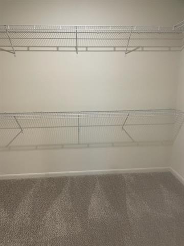 210 Drifter Drive - Photo 13