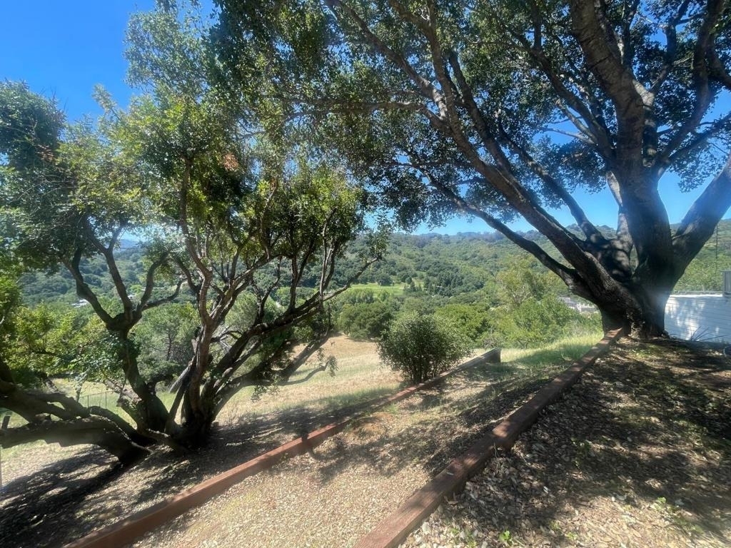 22505 Rolling Hills Road - Photo 5