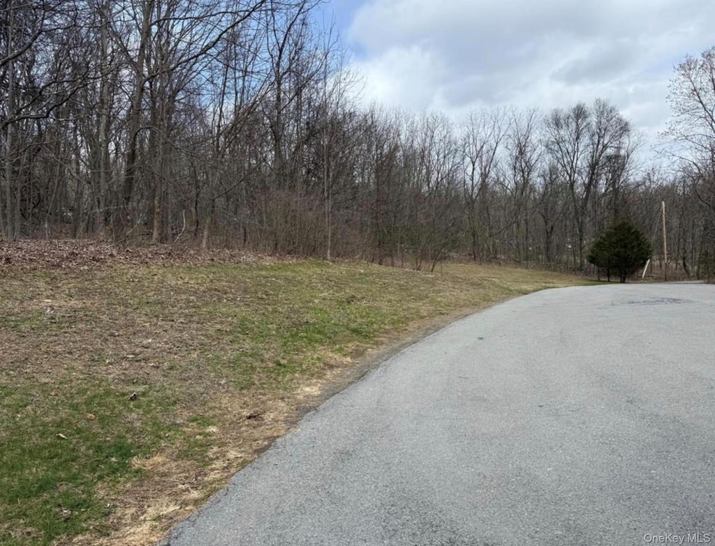 307 County Route 49 - Photo 9