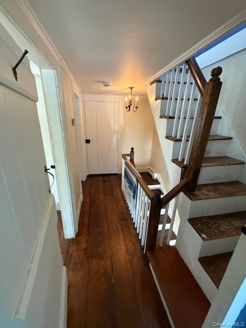 225 Christian Avenue - Photo 18