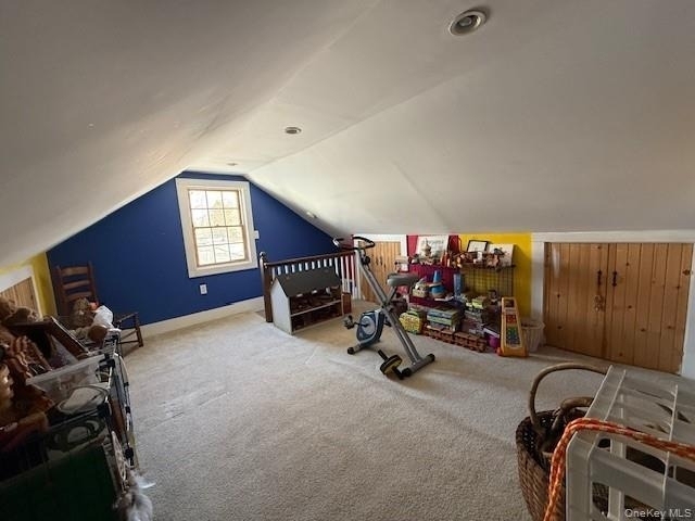 225 Christian Avenue - Photo 20