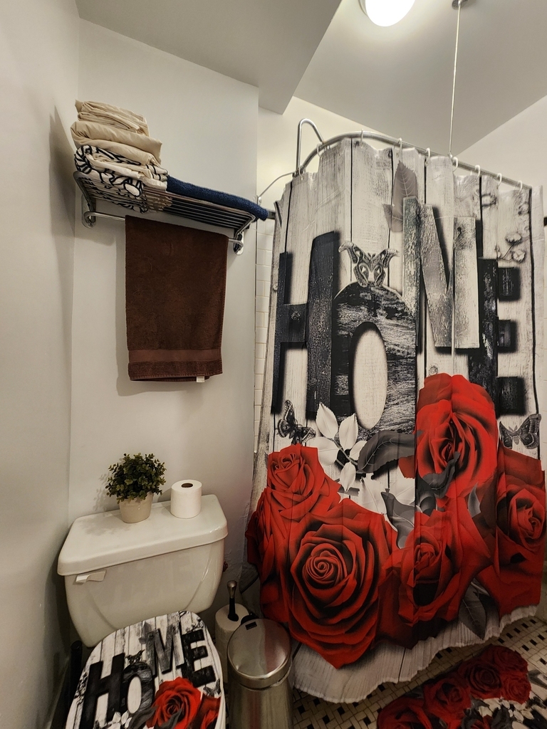 441 West 49th Street - Photo 5