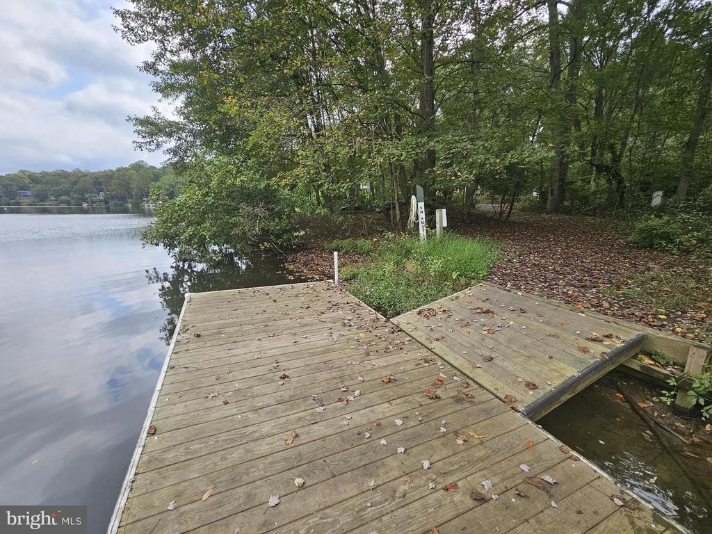11286 Spyglass Cove Lane - Photo 19