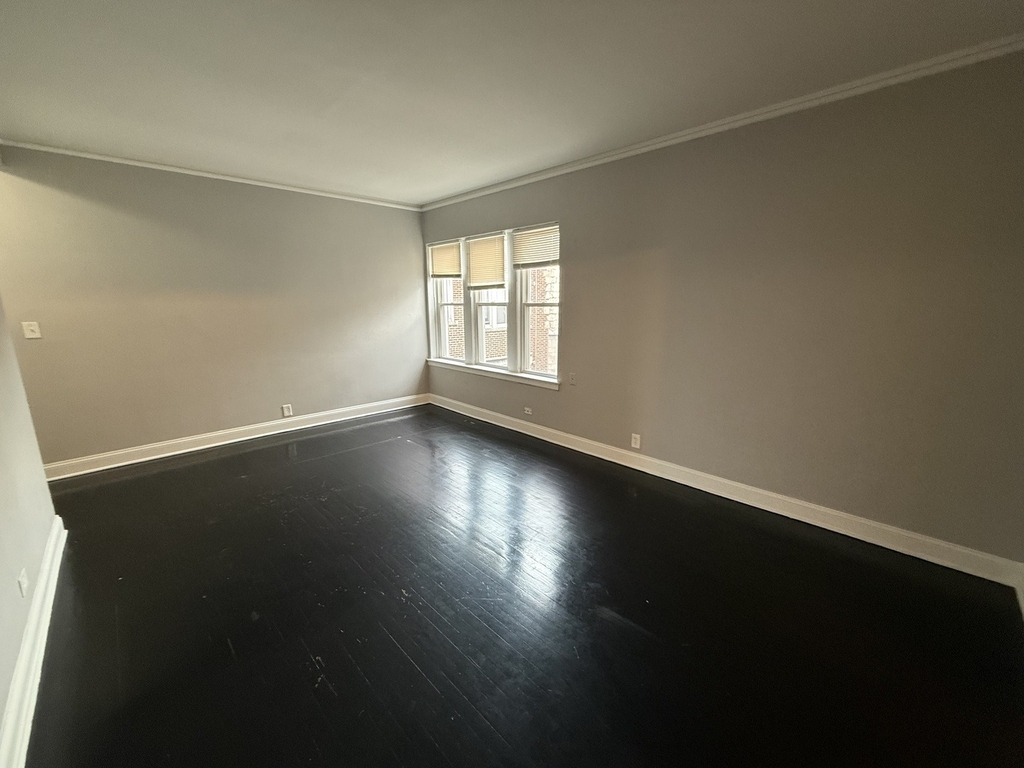 7344 N Damen Avenue - Photo 1