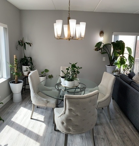 6560 W Diversey Avenue - Photo 4
