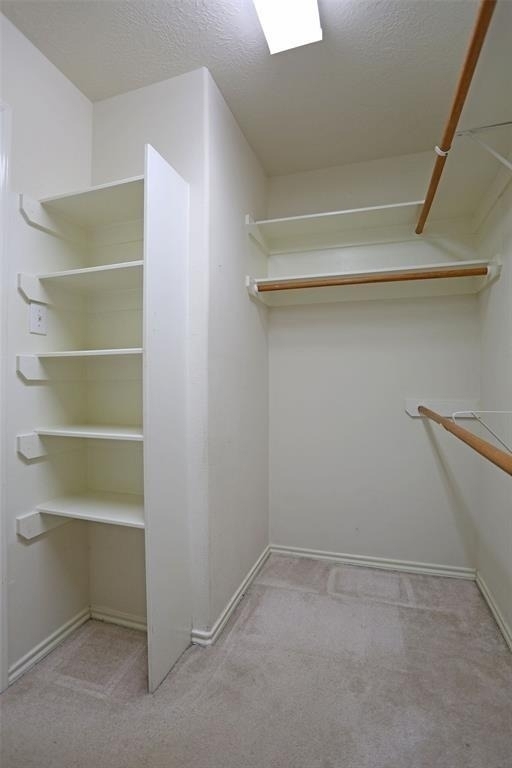 5302 Palo Duro Drive - Photo 7