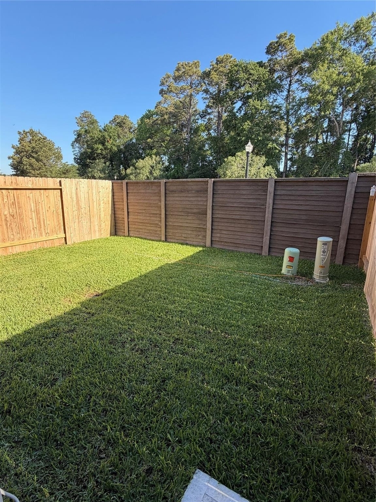 7511 Bella Springs - Photo 12