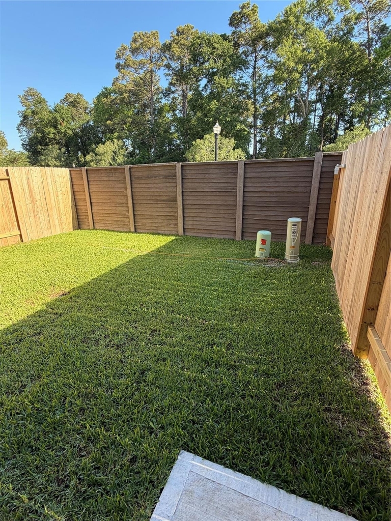 7511 Bella Springs - Photo 11