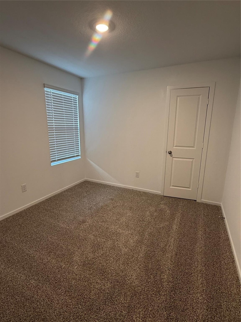 7511 Bella Springs - Photo 4