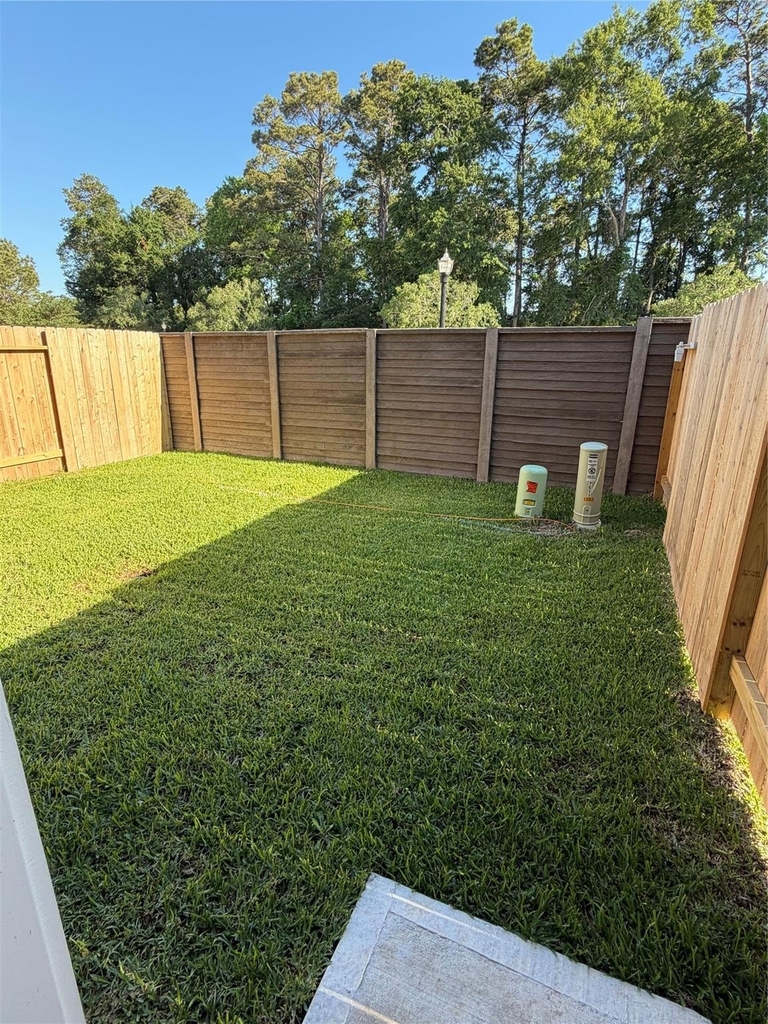 7511 Bella Springs - Photo 9