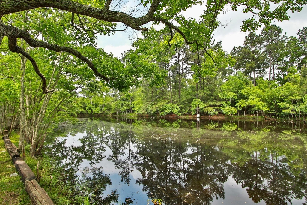 30115 Misty Meadow Drive - Photo 30