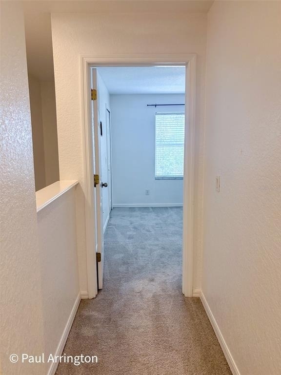 10922 Winter Crest Drive - Photo 26