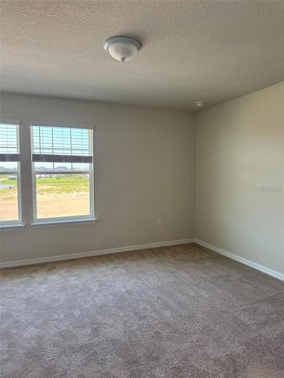 6385 Breeze Filled Lane - Photo 5
