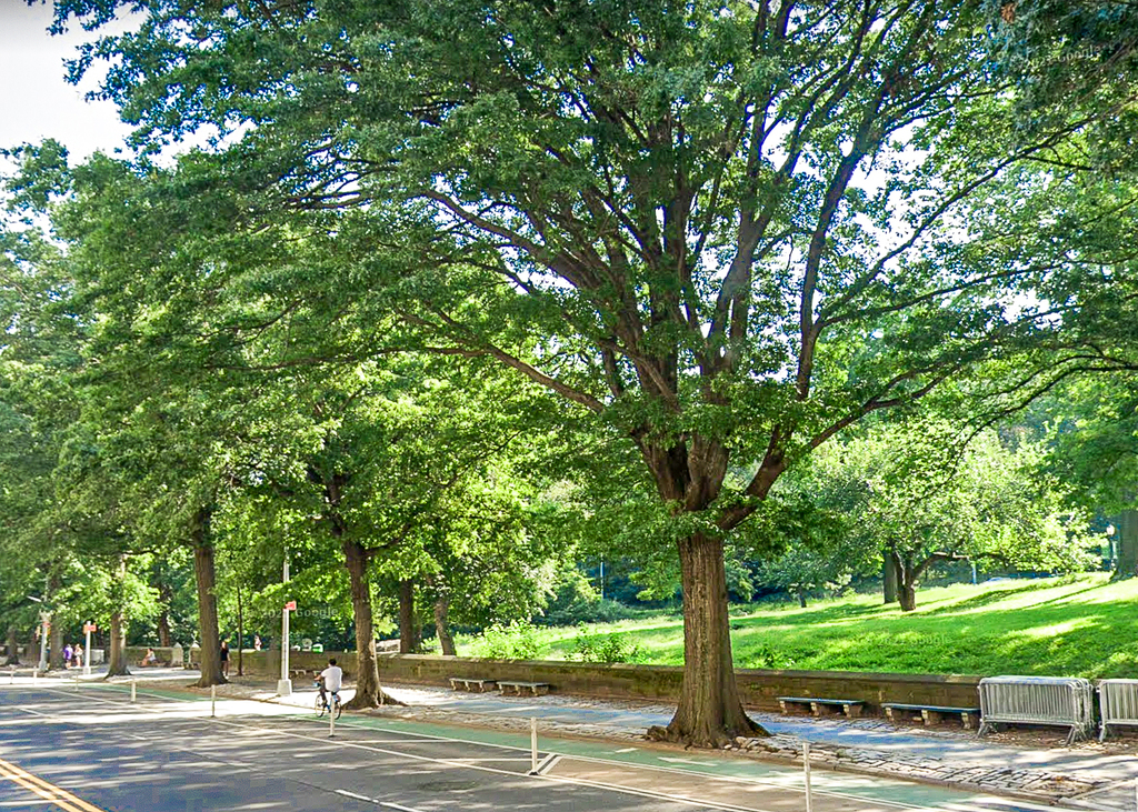 473 Central Park West - Photo 4