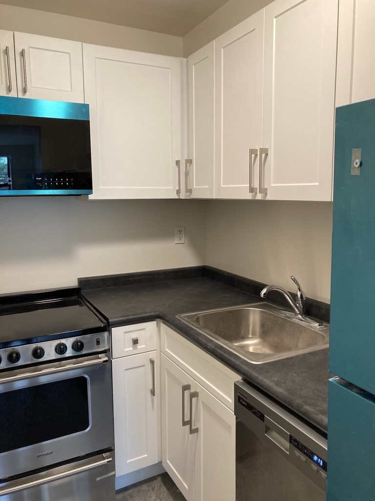 423 East 90th Street - Photo 3