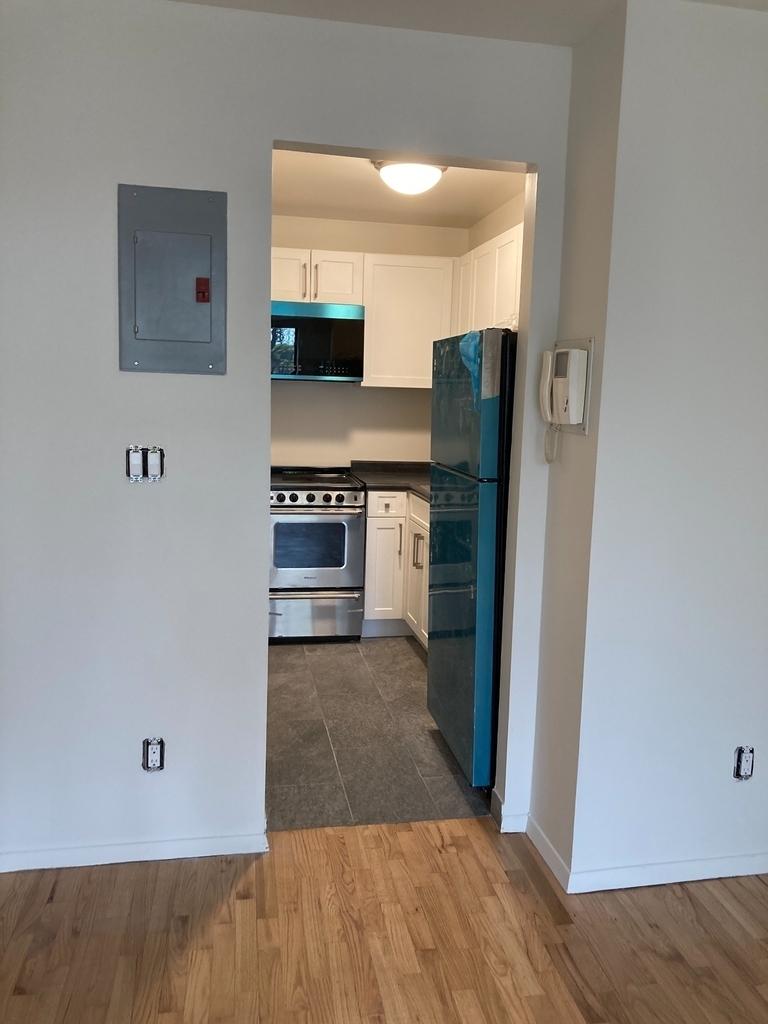 423 East 90th Street - Photo 1