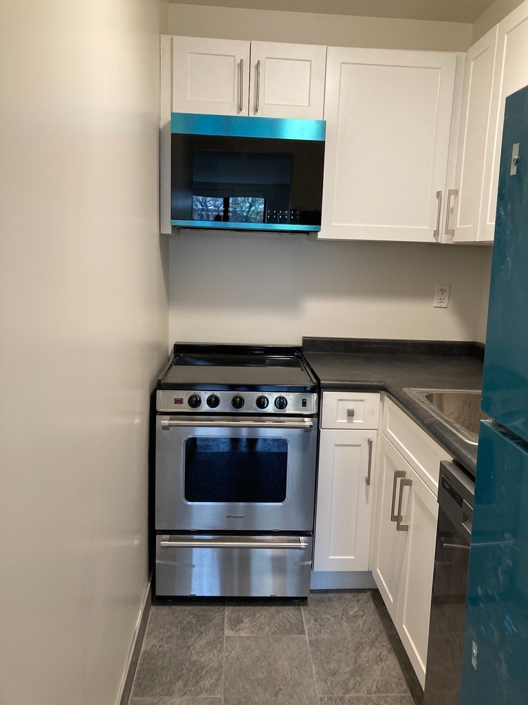 423 East 90th Street - Photo 2