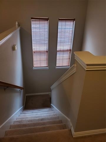 532 Silver Maple Drive - Photo 23