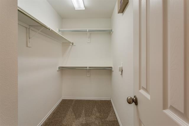 4168 Kyndra Circle - Photo 17