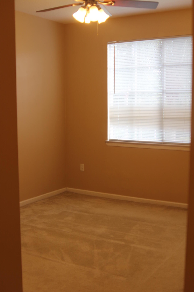 4203 E Myrtlewood Cir Circle E - Photo 11