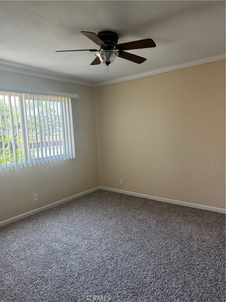 7667 Stage Road - Photo 3