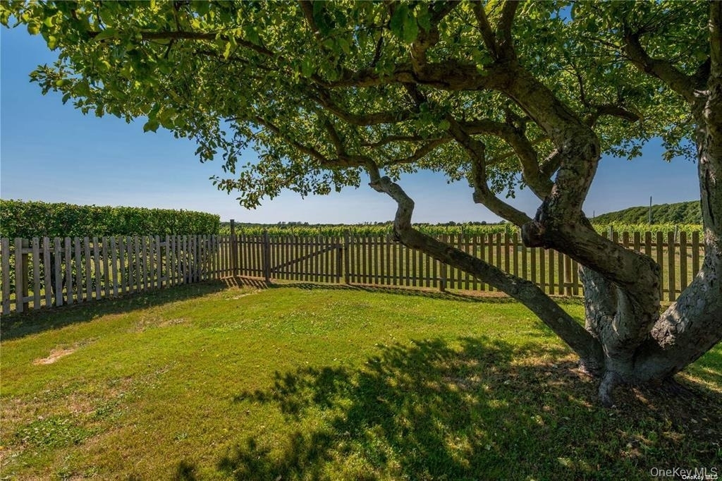 4782 Alvah's Lane - Photo 31