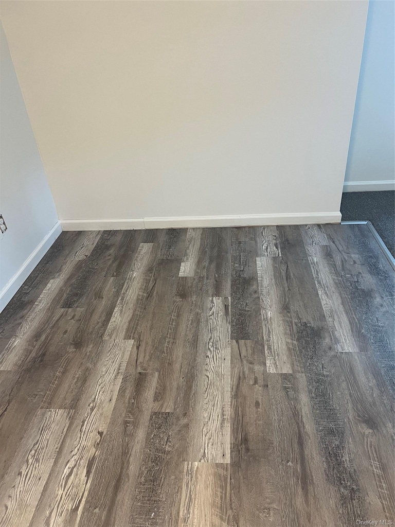 50 Kalmia Street - Photo 10