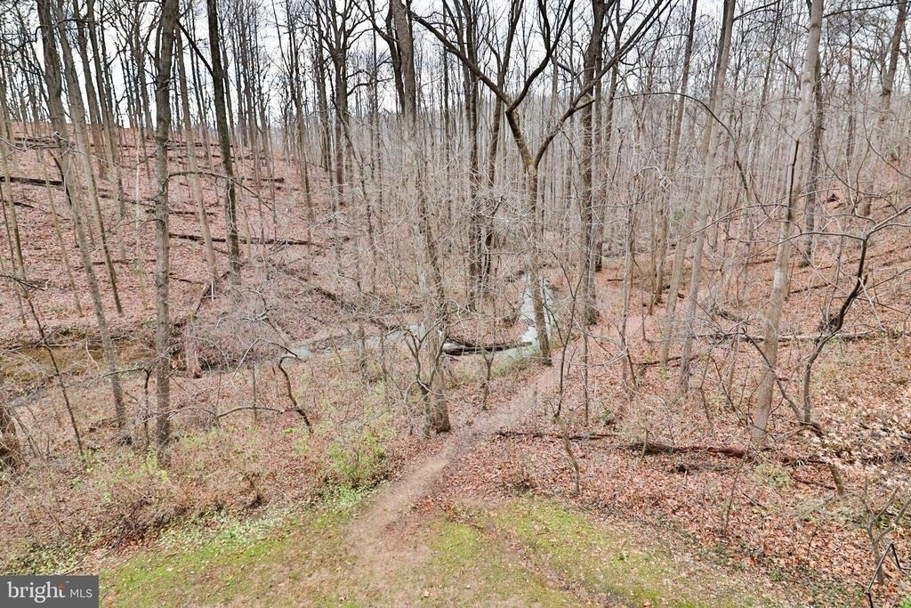 10488 Parthenon Court - Photo 46