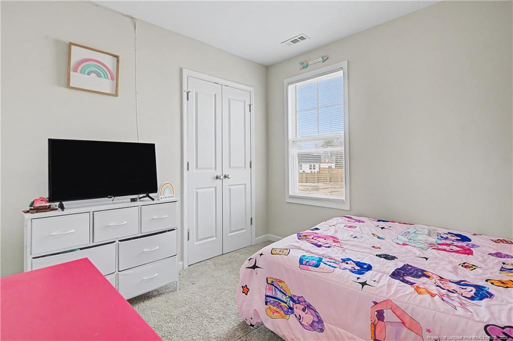 21 Terrier Court - Photo 33