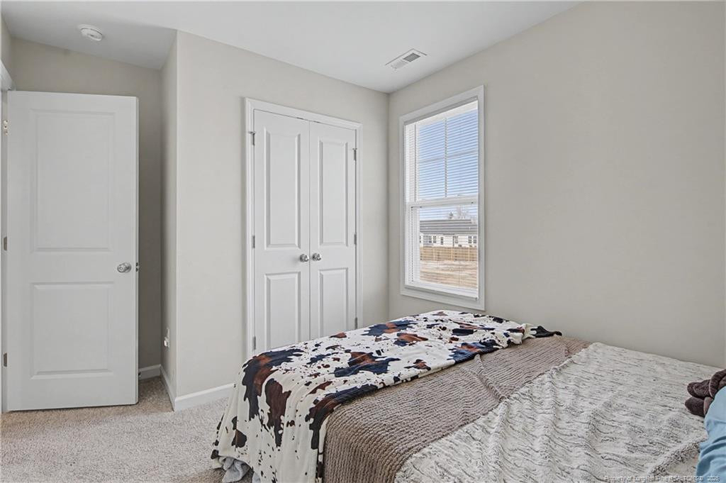 21 Terrier Court - Photo 39
