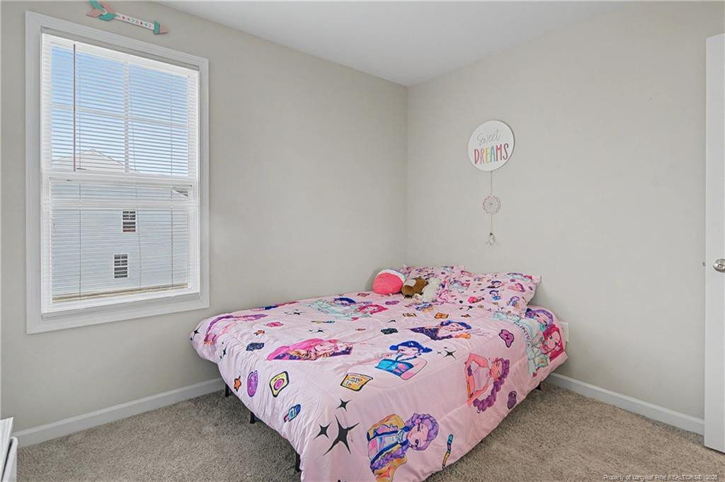 21 Terrier Court - Photo 34