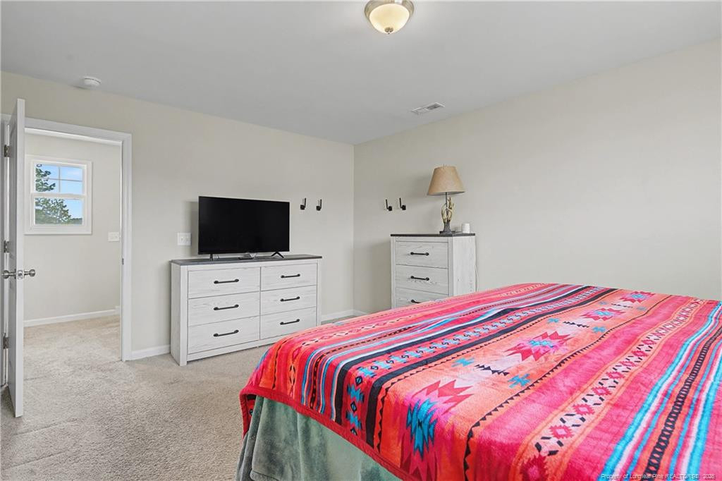21 Terrier Court - Photo 28