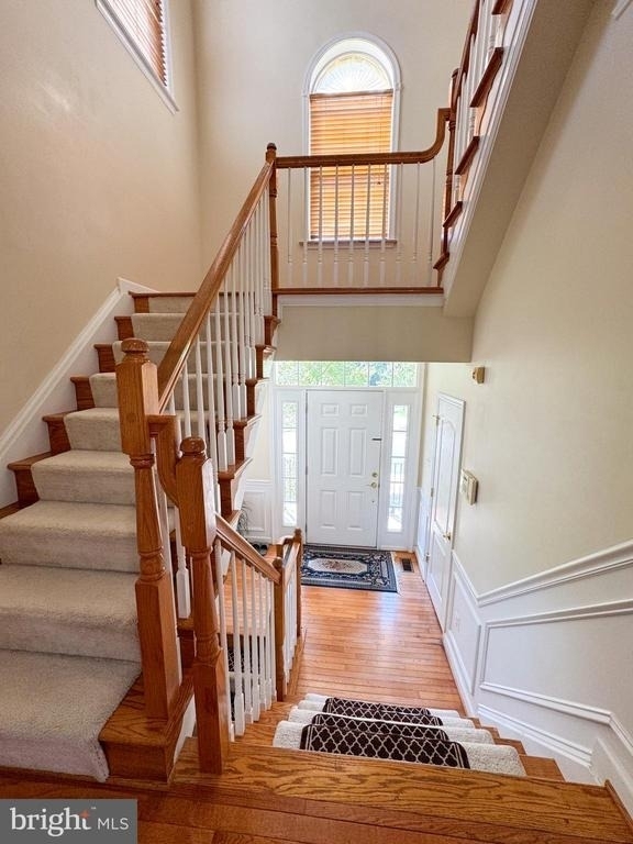 198 Hidden Forest Court - Photo 1