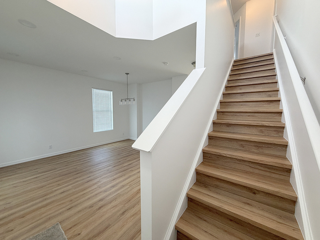 651 Olive Lane - Photo 8