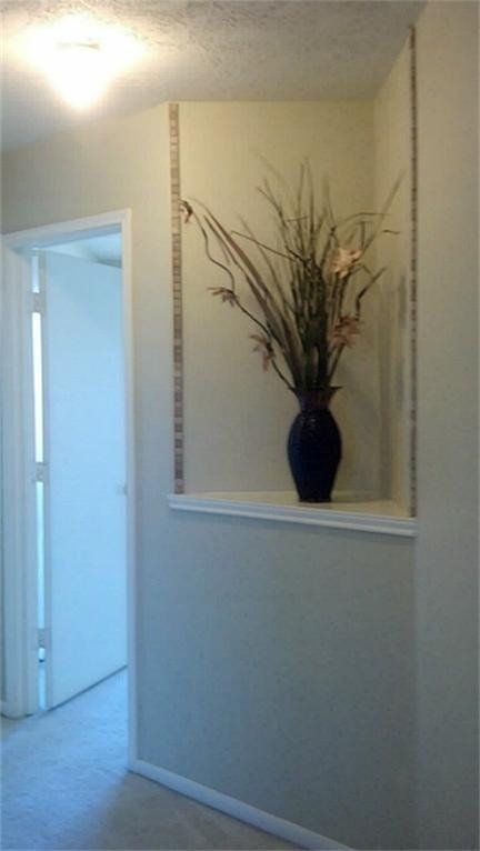 2826 Orchid Tree Lane - Photo 5