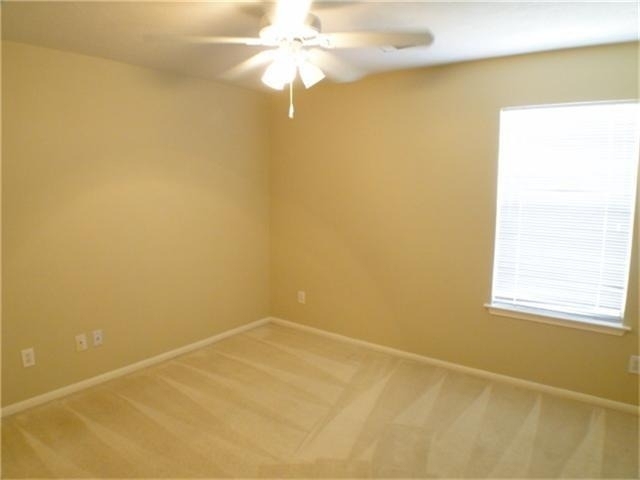 2826 Orchid Tree Lane - Photo 15