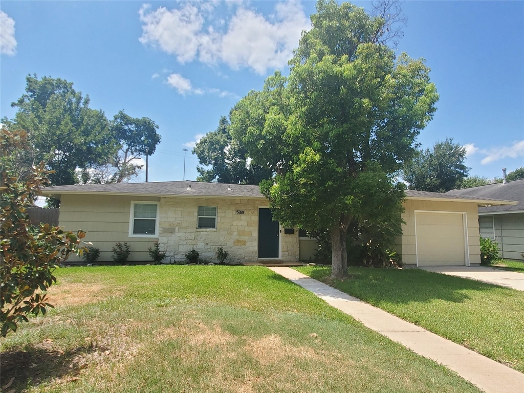 5329 Pagewood Lane - Photo 0