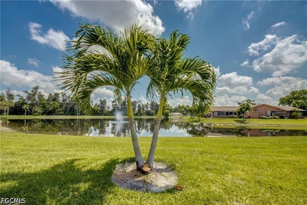 6337 Royal Woods Drive - Photo 32