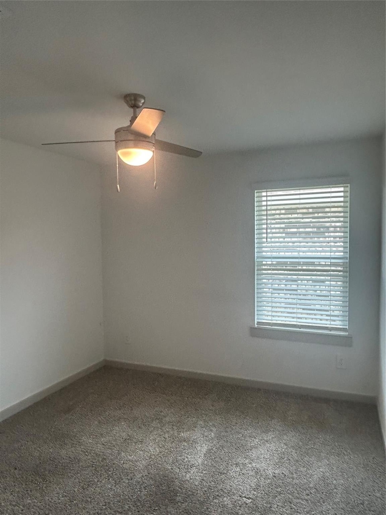 215 Dusty Bridle Lane - Photo 12