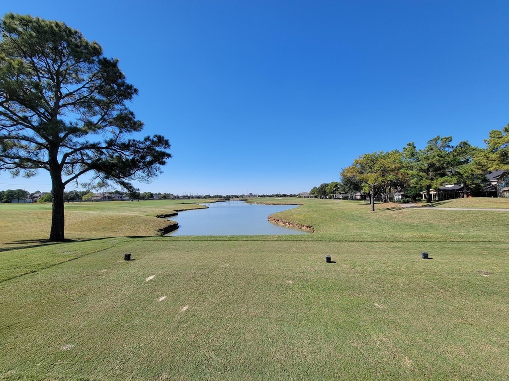 11115 Brandon Gate - Photo 44