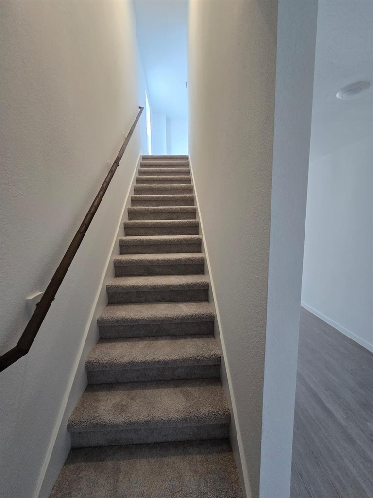 26706 Dalmatian Bellflower Drive - Photo 8